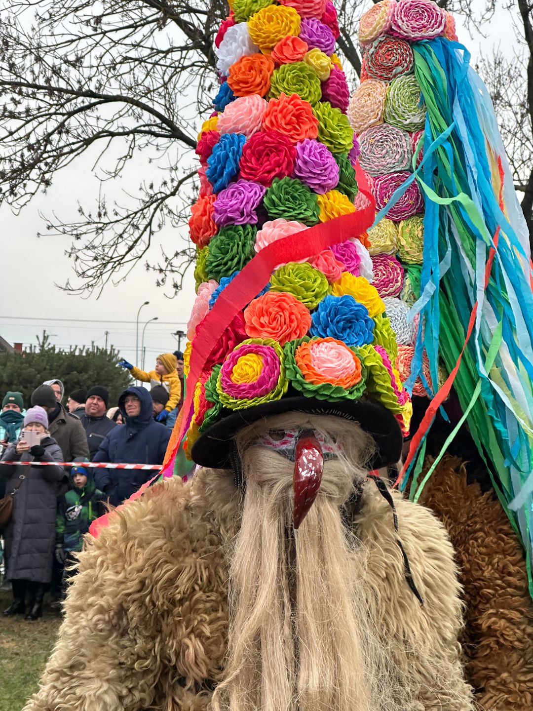 Każdy z brodaczy zaprezentował się publiczności.
