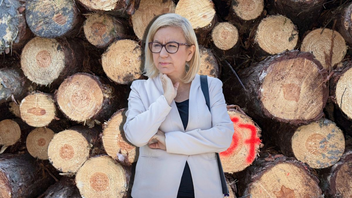 Paulina Hennig-Kloska, ministra klimatu i środowiska