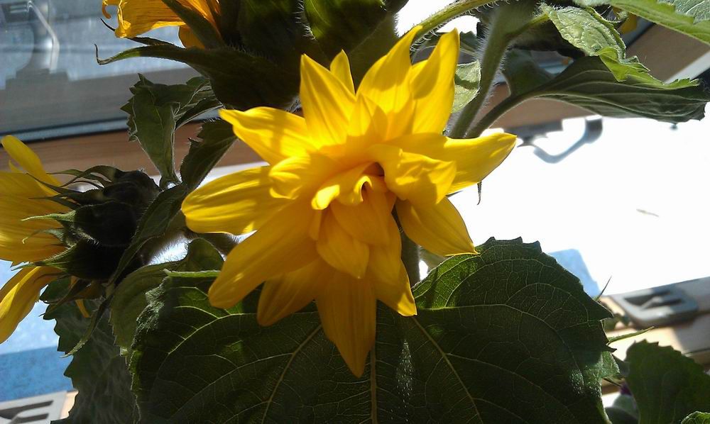 HTC Desire S - test [cz. 2] 17