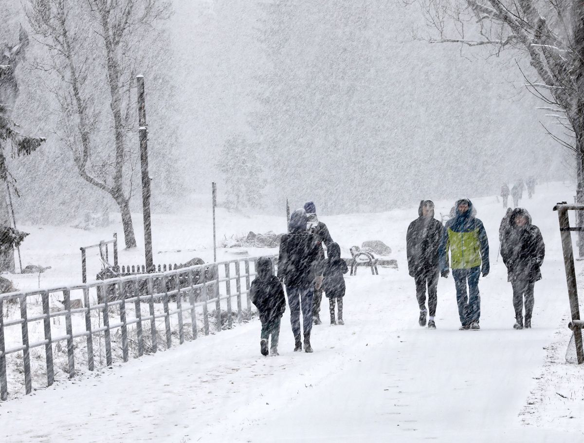 Tatry. Zima nie odpuszcza. 160 cm śniegu na Kasprowym Wierchu
