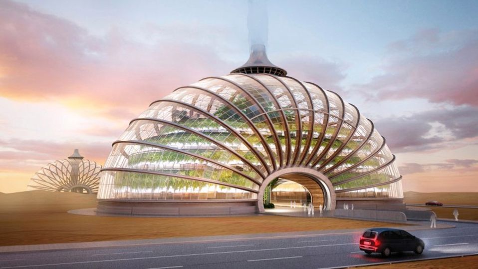 Zamieszkasz w Arce? 1