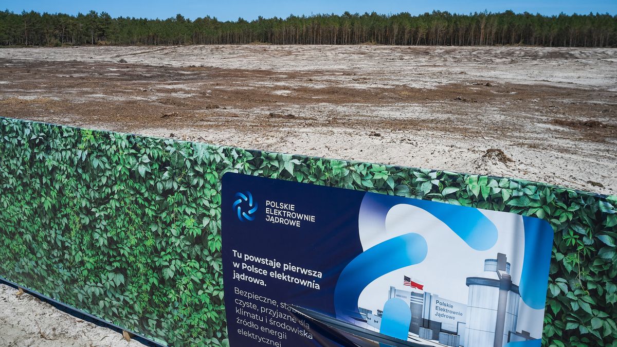 GDOŚ zdecydował ws. decyzji środowiskowej dla 1. polskiej elektr