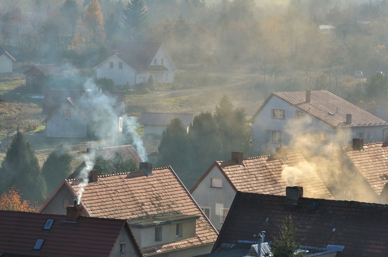 Polska ma najgorszy stan środowiska w Unii Europejskiej. Które kraje są najbardziej "zielone"?