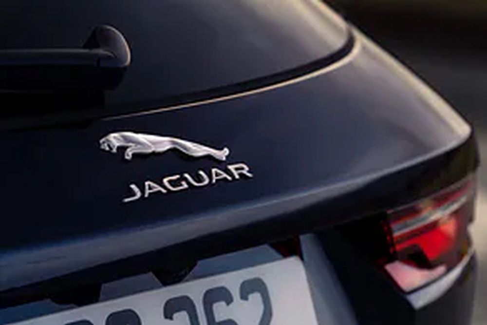 Jaguar