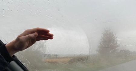 Sposób na parujące szyby. Zacznij od niego, zanim sięgniesz po koci żwirek