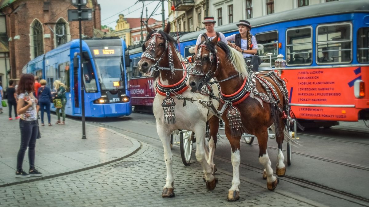 Krakowskie dorożki mają szansę trafić na listę UNESCO. Obrońcy praw zwierząt są oburzeni 