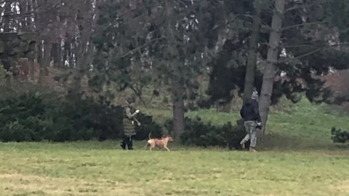 Postępowanie przeciwko Dominikowi K. zostało umorzone
