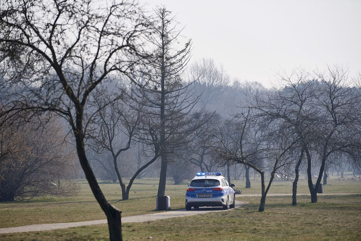 Łódź. W parku znaleziono ciało kobiety (zdjęcie ilustracyjne(