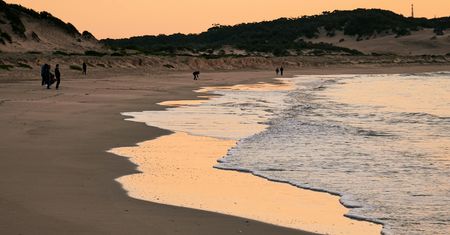 Czas "na plażę". Rozwiąż krzyżówkę rodem z wakacji