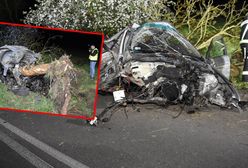 Po uderzeniu drzewo wyrwane z korzeniami. Tragedia w Pomorskim
