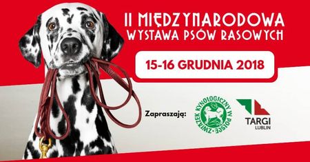 Ponad 2500 psów 220 ras w jednym miejscu. II Międzynarodowa Wystawa Psów Rasowych już w ten weekend