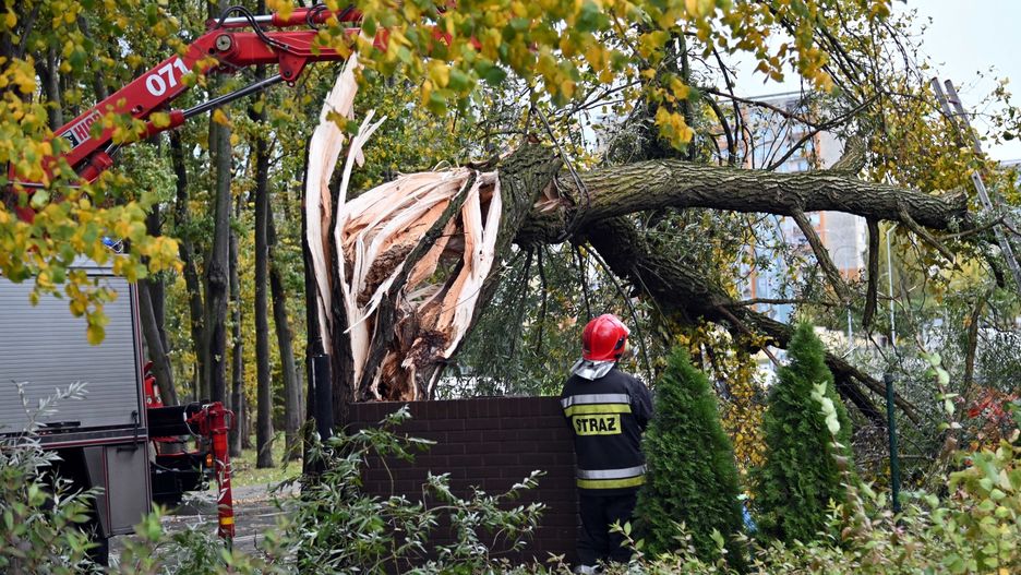 Alert RCB dla 9 województw. Wichura nad Polską 