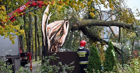 Alert RCB dla 9 województw. Wichura nad Polską