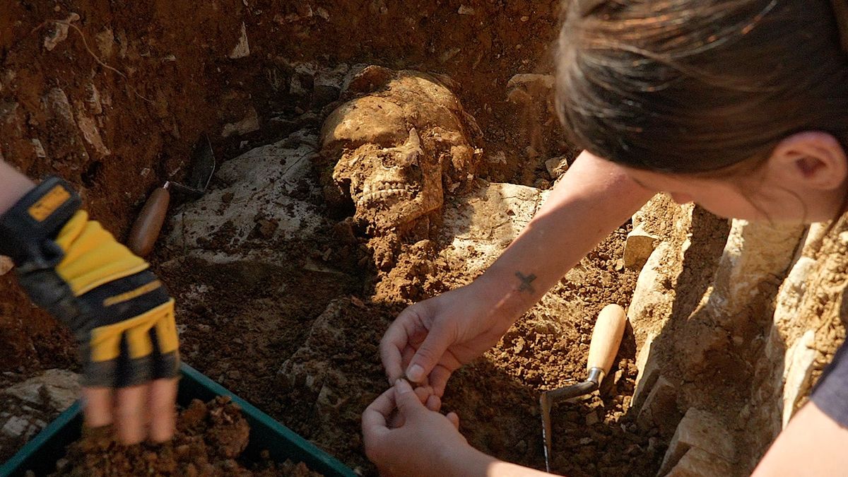 Pierwsze epidemie odzwierzęce sprzed tysięcy lat