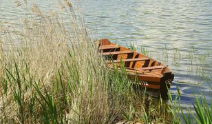 Płoty rosną jak na drożdżach. Mazury mają problem