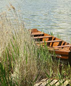 Płoty rosną jak na drożdżach. Mazury mają problem