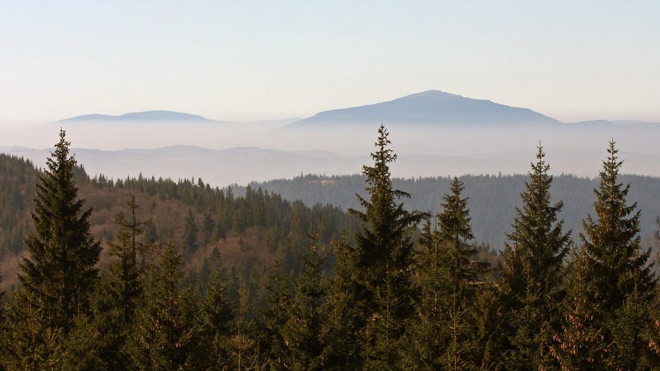 Widok na pasmo Gorców