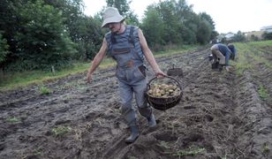 Rolnicy z Podkarpacia ofiarami wygranej Andrzeja Dudy? "Przykre, ale nie jesteśmy mściwi"