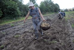 Rolnicy z Podkarpacia ofiarami wygranej Andrzeja Dudy? "Przykre, ale nie jesteśmy mściwi"