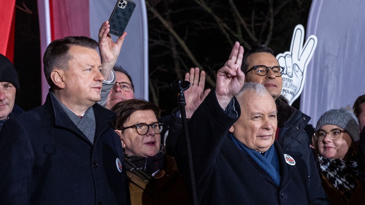 "Protest Wolnych Polaków"