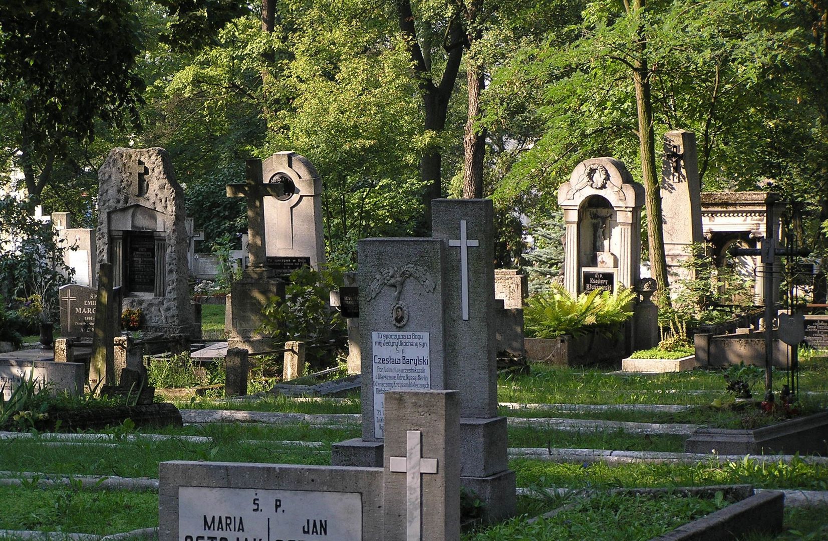 Chwile grozy na cmentarzu w Toruniu. Musiała interweniować policja