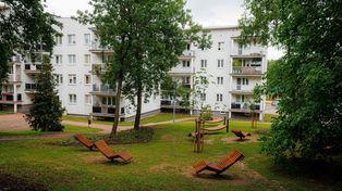 Mamy nowy park kieszonkowy w Białymstoku. Tym razem w... lesie