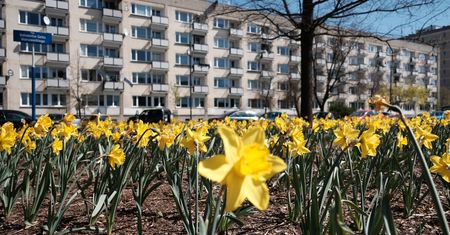 Warszawa. Radni Śródmieścia chcą ronda Sprawiedliwych wśród Narodów Świata