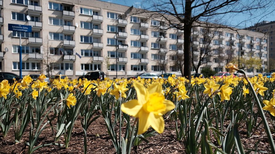 Warszawa. Muranów, plac Bohaterów Getta Warszawskiego 