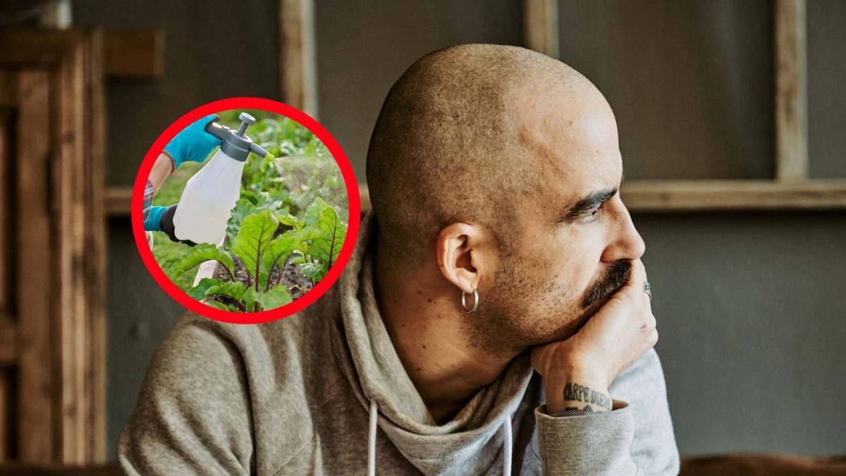 Szkodzą, jak papierosy i aktywują raka. Osadzają się na owcach i warzywach