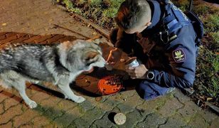 Nie wahali się ani chwili. Gdy go zobaczyli, wkroczyli do akcji