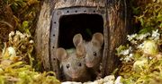 Znalazł przeurocze myszki. Nie zabił ich, ale zbudował im dom