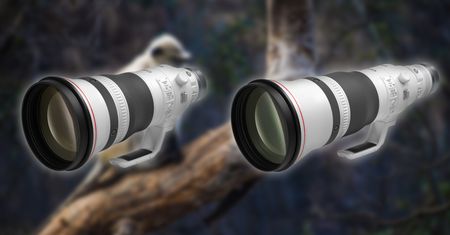 Canon RF 400 mm f/2.8 oraz 600 mm f/4. Nowe armaty nadchodzą