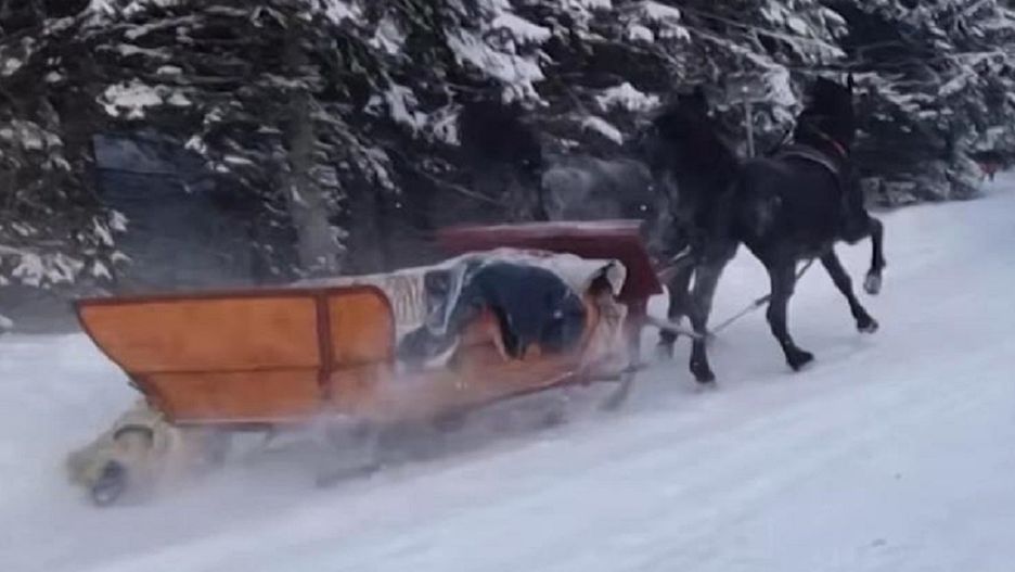 Spłoszone konie biegły szlakiem do Morskiego Oka. Turyści uciekali w popłochu