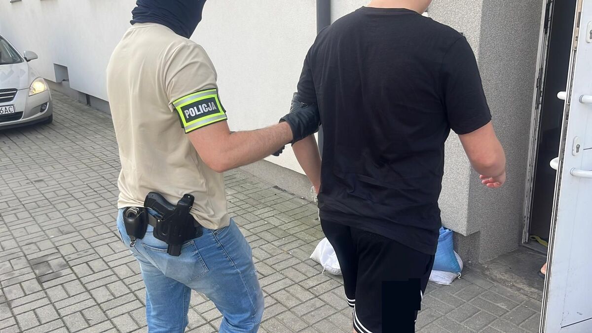 policja