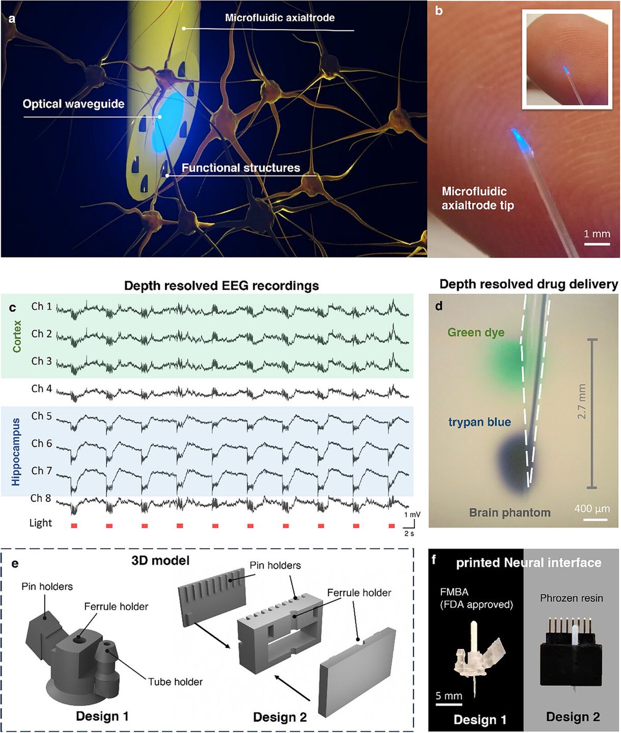mAxialtrode - nowy implant do mózgu