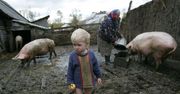 Zobacz najlepsze fotografie z konkursu Belarus Press Photo 2010/2011