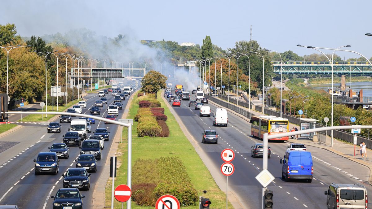 Europosłowie PO domagają się rewizji zakazu aut spalinowych 