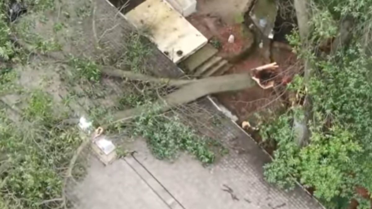 Drzewo spadło na dach domu