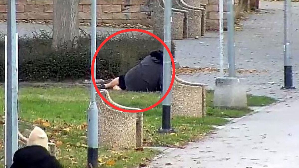 Straż Miejska uratowała seniorkę