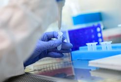 Badacze z UW zbadali związki chemiczne, które mogą osłabić COVID-19. Pomogła im sztuczna inteligencja