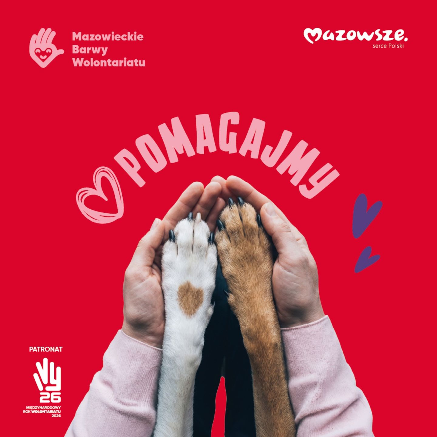 Akcja "Zgłoś wolontariusza" 