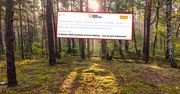 "Tajemnicza nierównowaga". Niemcy piszą o polskim lesie