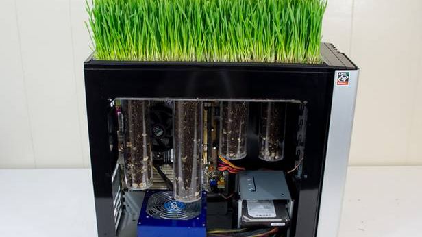Spełniony sen ekologów. Trawnik jako część obudowy komputera 1