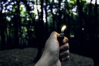 Bardzo sucho w lasach na Podkarpaciu. Leśnicy apelują o rozwagę w używaniu ognia. Rośnie zagrożenie pożarowe na terenach leśnych