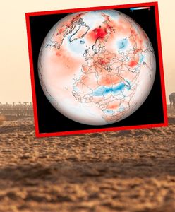 Takich temperatur jeszcze nie było. Najgorętsze lato w historii