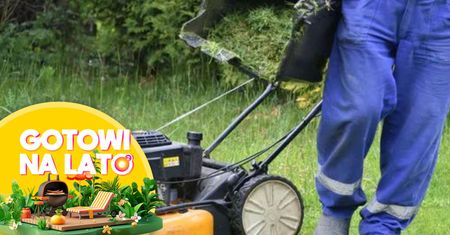 Mandat za koszenie trawy? Wiadomo, co mówią przepisy