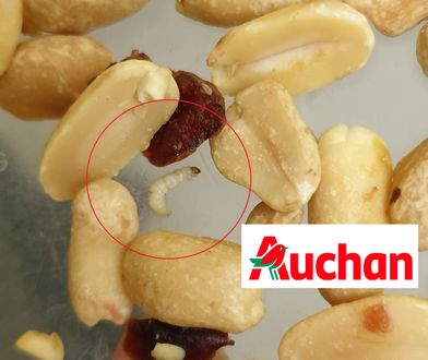 Robaki w orzechach z Auchan. Pani Anna nie mogła w to uwierzyć