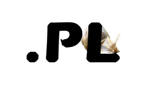 Polska domena coraz bardziej niebezpieczna