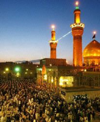 Polacy na palmach daktylowych