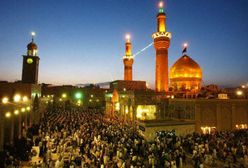 Polacy na palmach daktylowych